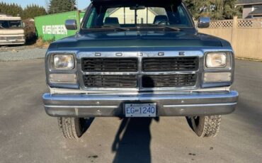 Dodge-W250-diesel-1993-green-529473-4