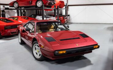 Ferrari-308-1983-Red-Tan-25613-5