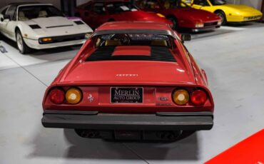 Ferrari-308-1983-Red-Tan-25613-9