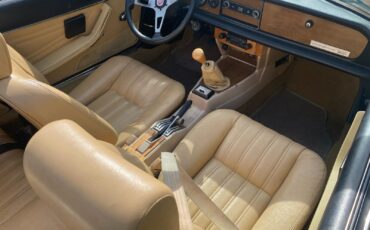 Fiat-124-Spider-Cabriolet-1981-Metallic-Brown-Tan-97689-19