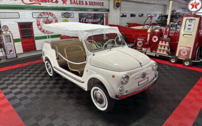 Fiat Jolly Giardiniera  1965 à vendre