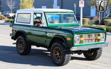 Ford-Bronco-1974-Green-Brown-56797-11