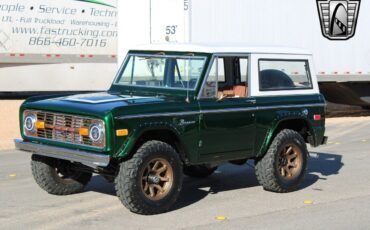 Ford-Bronco-1974-Green-Brown-56797-5