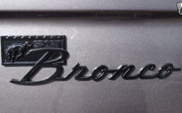 Ford-Bronco-1976-Gray-Black-47569-7