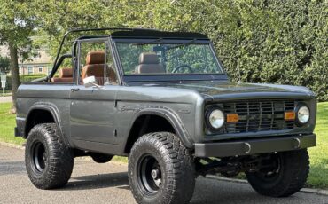 Ford-Bronco-Cabriolet-1969-Grau-Cognac-37813-10