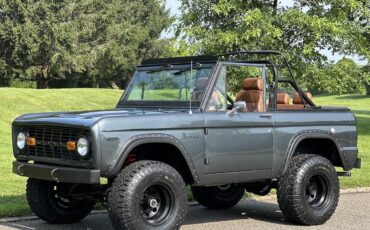 Ford-Bronco-Cabriolet-1969-Grau-Cognac-37813-17