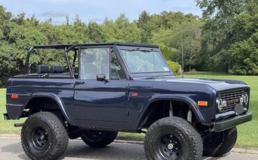 Ford-Bronco-Cabriolet-1976-Purple-Black-3788-10