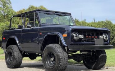 Ford-Bronco-Cabriolet-1976-Purple-Black-3788-23