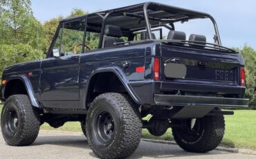 Ford-Bronco-Cabriolet-1976-Purple-Black-3788-26