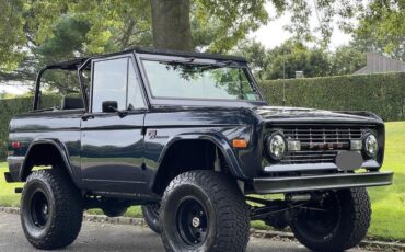 Ford-Bronco-Cabriolet-1976-Purple-Black-3788-28