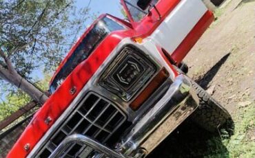 Ford-Bronco-SUV-1978-Red-Red-122310-5