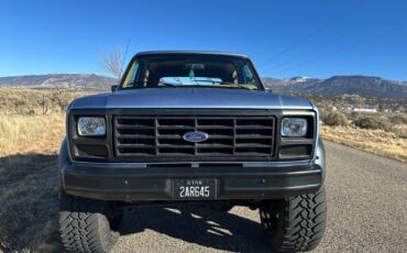 Ford-Bronco-SUV-1984-Blue-Tan-172200-2