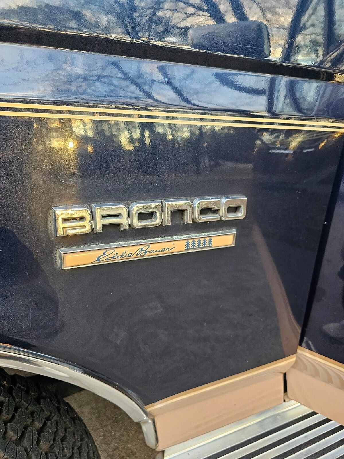 Ford-Bronco-SUV-1988-Blue-Tan-157700-22