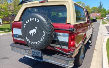 Ford-Bronco-SUV-1994-Red-Tan-178637-7