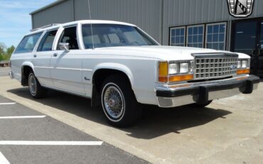 Ford-Crown-Victoria-1985-White-Blue-136424-9