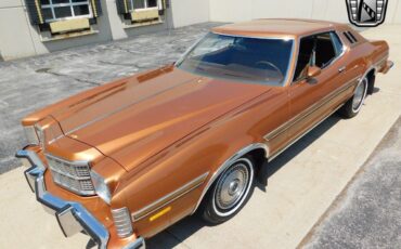 Ford-Elite-1976-Gold-Saddle-114471-3