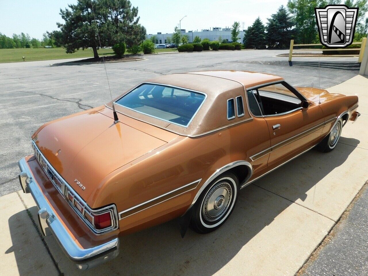 Ford-Elite-1976-Gold-Saddle-114471-4