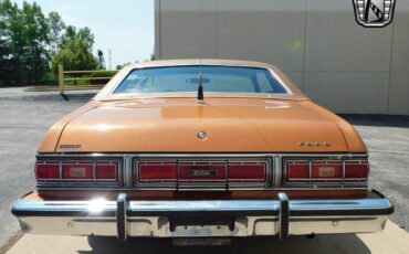 Ford-Elite-1976-Gold-Saddle-114471-7