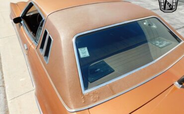 Ford-Elite-1976-Gold-Saddle-114471-8