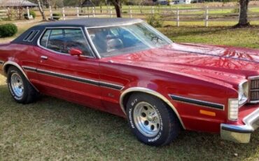 Ford-Elite-Coupe-1975-Red-132690-13