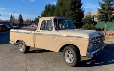 Ford-F-100-1966-2607