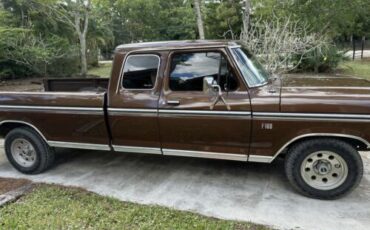 Ford-F-100-1974-Brown-Brown-85295-1