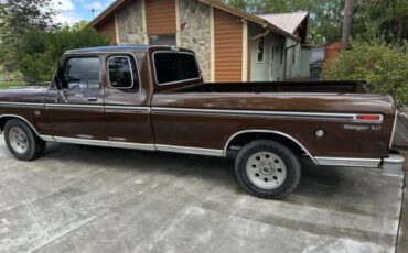 Ford-F-100-1974-Brown-Brown-85295-3