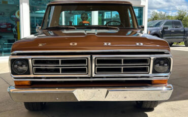 Ford-F-100-Break-1972-Brown-Brown-127336-1