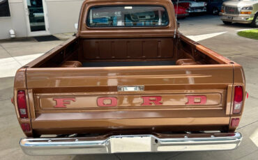 Ford-F-100-Break-1972-Brown-Brown-127336-6