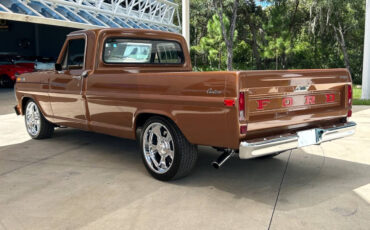 Ford-F-100-Break-1972-Brown-Brown-127336-7