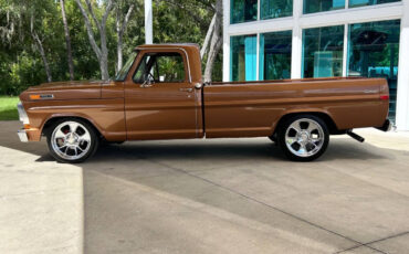 Ford-F-100-Break-1972-Brown-Brown-127336-8