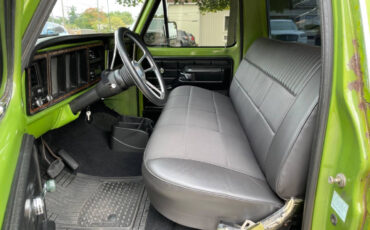 Ford-F-100-Pickup-1974-Green-Black-102275-15