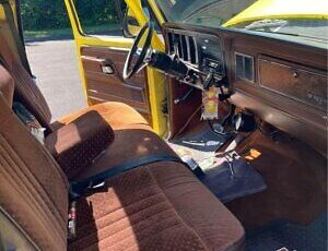 Ford-F-100-Pickup-1979-Yellow-Brown-148328-5