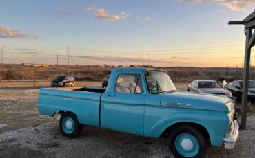 Ford-F-150-1961-258911