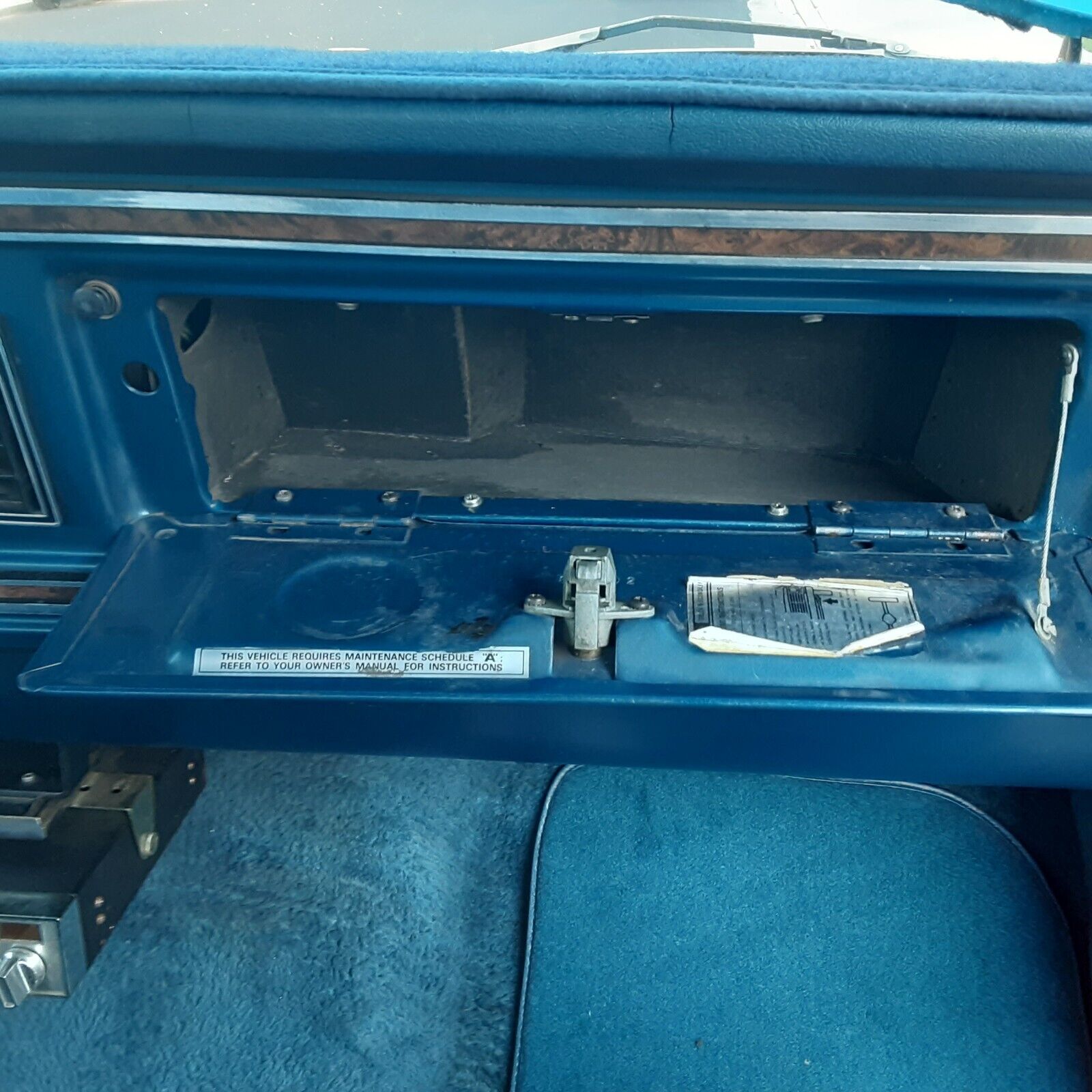 Ford-F-150-1978-Blue-Blue-247839-10