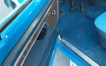 Ford-F-150-1978-Blue-Blue-247839-12