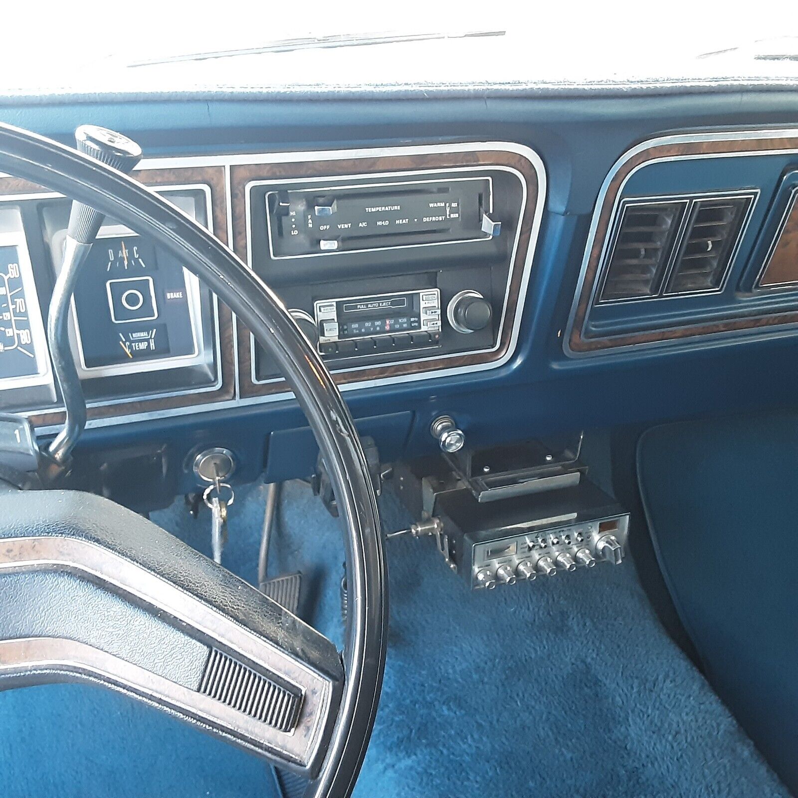 Ford-F-150-1978-Blue-Blue-247839-15