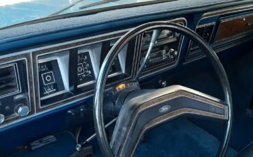 Ford-F-150-1978-Blue-Blue-247839-16