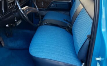 Ford-F-150-1978-Blue-Blue-247839-17