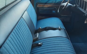 Ford-F-150-1978-Blue-Blue-247839-18