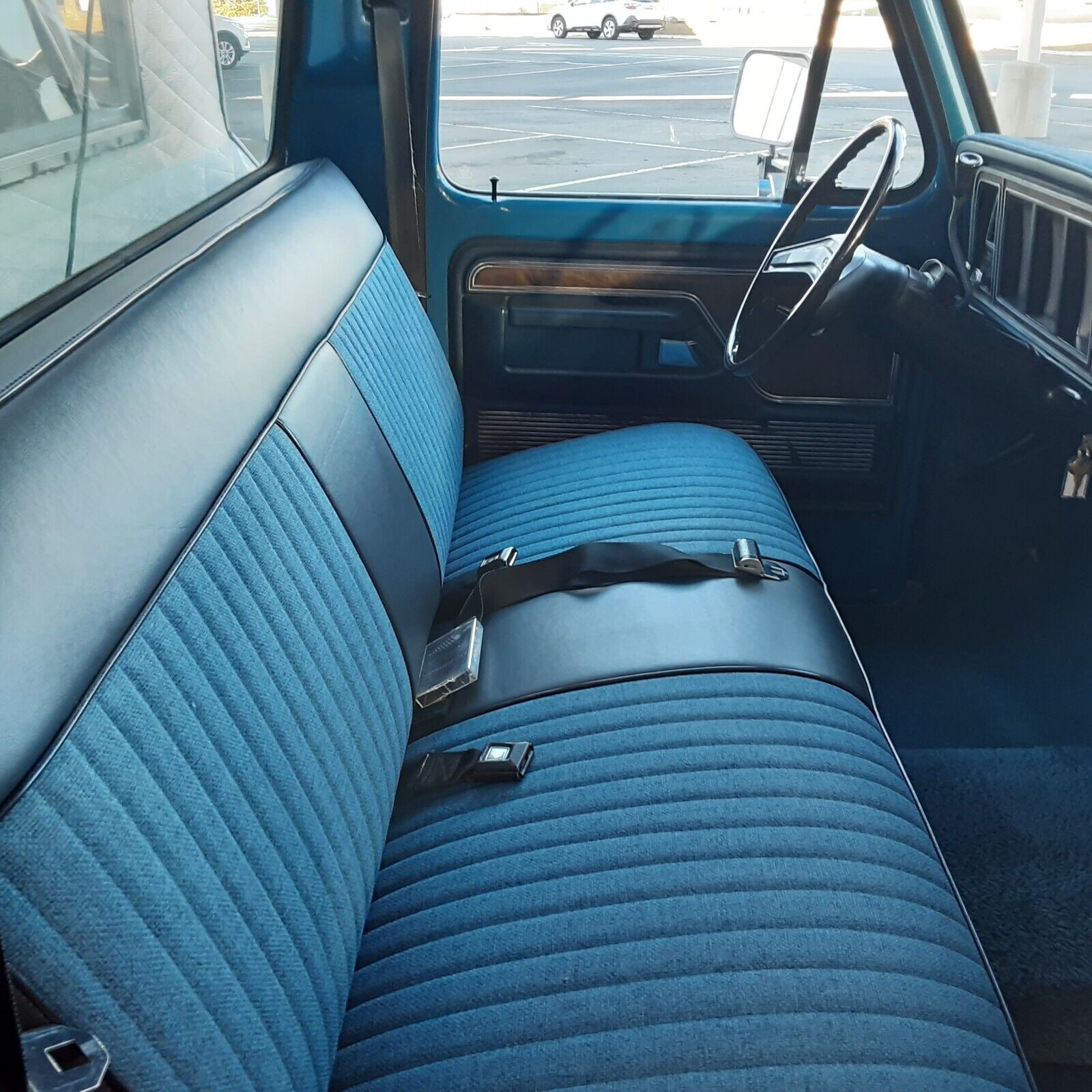 Ford-F-150-1978-Blue-Blue-247839-18