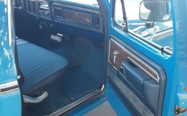 Ford-F-150-1978-Blue-Blue-247839-19