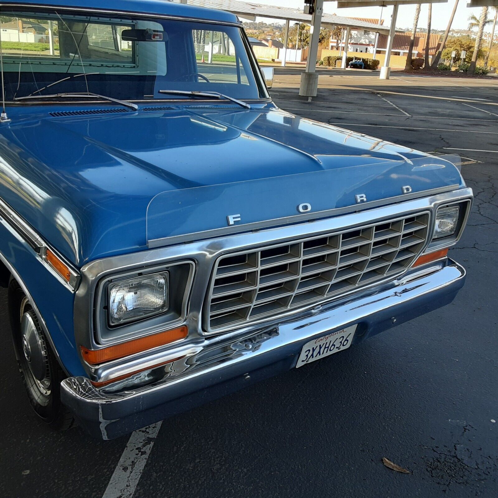 Ford-F-150-1978-Blue-Blue-247839-3