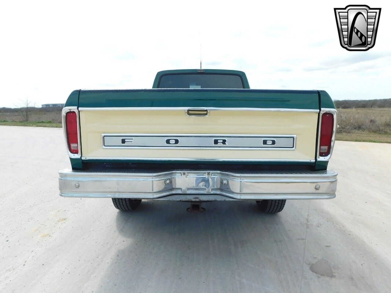 Ford-F-150-1979-Green-Green-17849-5