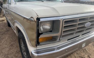 Ford-F-150-1983-brown-158198-1