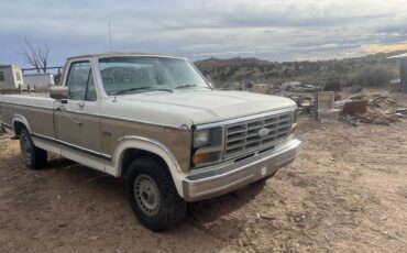 Ford-F-150-1983-brown-158198