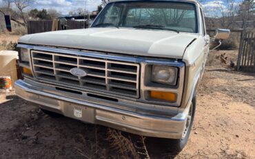 Ford-F-150-1983-brown-158198-4