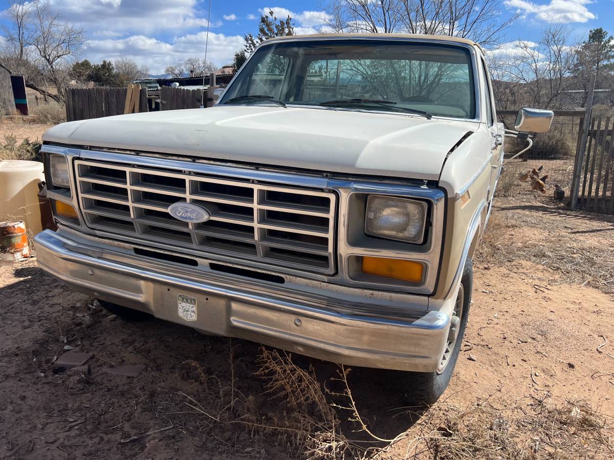 Ford-F-150-1983-brown-158198-4