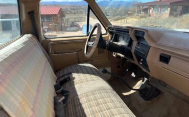 Ford-F-150-1983-brown-158198-6