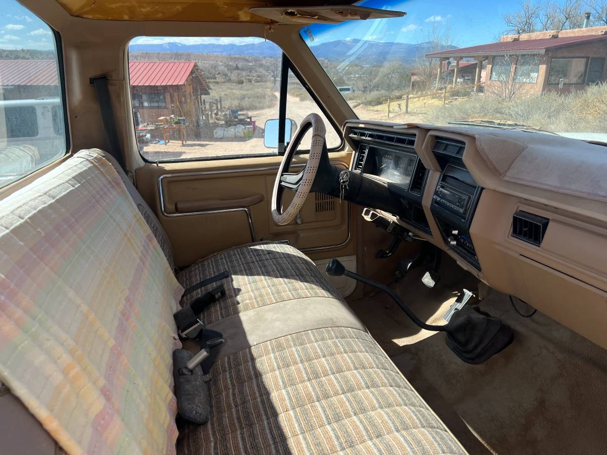 Ford-F-150-1983-brown-158198-6